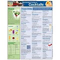 BartenderS Guide To Cocktails (Quickstudy: Home)