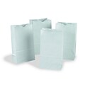Rainbow  Kraft Paper Bag, White, 6 x 11, Pack of 100 (PAC72020Q)