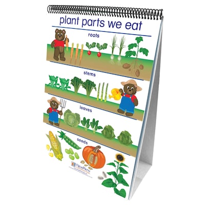 New Path Learning® All About Plants Curriculum Mastery® Flip Chart Set