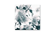 Trademark Fine Art "About a Flower" Canvas