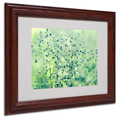 Trademark Fine Art 11 x 14 Acrylic Spring Notes, Wood Frame