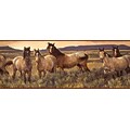 Inspired By Color™ Country & Lodge Grey Horse Border, Tan With Gray/Brown Band