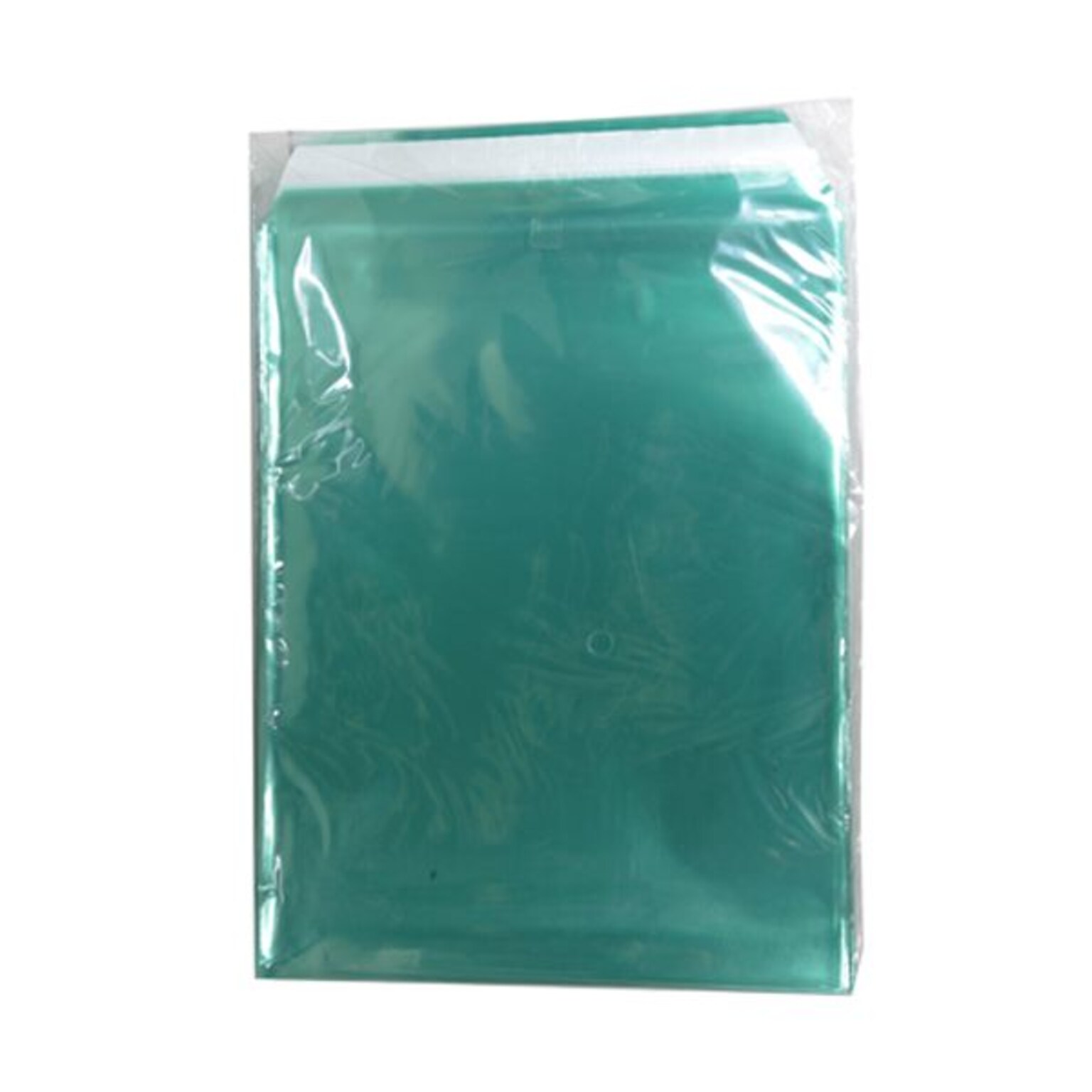 JAM Paper Cellophane Envelope with Peel & Seal Closure, 8.9375 x 11.25, Green, 100/Pack (2783699)