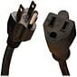 Tripp Lite® SJT 5-15P/5-15R Medium Duty Power Extension Cord; 16 AWG, 3'