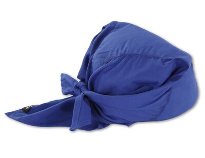 Chill-Its 6710 Evaporative Cooling Towel, Blue, One Size, 6/Carton (12587)