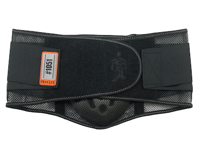 ProFlex® SM Mesh Back Support W/Lumbar Pad