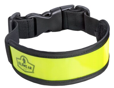 Ergodyne® GloWear® Arm/Leg Band, Lime, Elastic, One Size, 12/Ct.