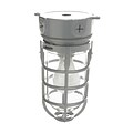 CCI® Incandescent Wall Mount Weather Tight Light Fixture; 100 W, Silver