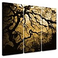 ArtWall Gold Rendition: Japanese Tree 3 Piece Gallery Wrapped Canvas Art By John Black, 36 x 54