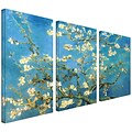 ArtWall Almond Blossom 3 Piece Gallery Wrapped Canvas Art By Vincent Van Gogh, 24 x 36