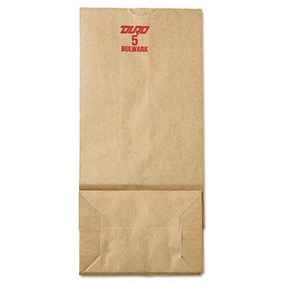 Paper Bag Extra Heavy Duty; 500/Pack