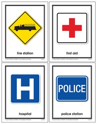 Carson-Dellosa™ Survival Signs and Symbols Learning Cards, Grades PreK - 2