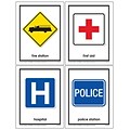 Carson-Dellosa™ Survival Signs and Symbols Learning Cards, Grades PreK - 2