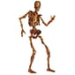 Beistle 6' Jointed Skeletons, 2/Pack