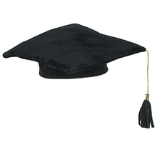 Beistle 10 Plush Graduate Cap; Black
