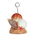 Beistle 6 oz. Seashell Photo/Balloon Holder, 3/Pack (50964)