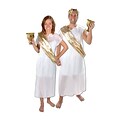 Beistle Toga Set; White/Gold