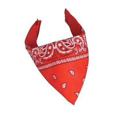 Beistle 22 x 22 Bandana, Red