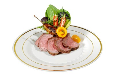Silver Splendor Plastic Bone With Gold Round China-Like 10"