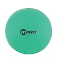 Champion Sports® Fitpro Training & Exercise Ball, 42Cm