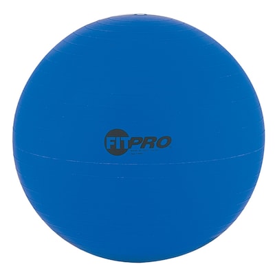 Champion Sports® Fitpro Training & Exercise Ball, 53Cm