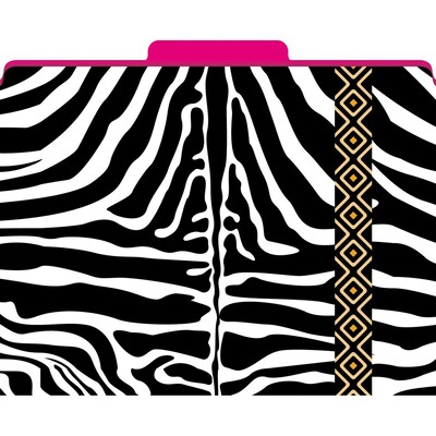Functional File Folders, Zebra