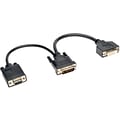 Tripp Lite® 0.5 DVI-D to VGA Male/Female Digital Y Splitter Cable; Black