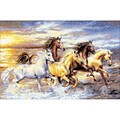 Riolis® 23 5/8 x 15 3/4 Counted Cross Stitch Kit, In The Sunset