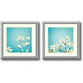 Amanti Art Delicate Skies of Blue - Set of 2 Framed Art by Carolyn Cochrane