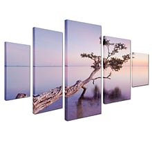 Trademark Moises Levy Water Tree XV Gallery-Wrapped Canvas Art Set, 3.6 x 2.8