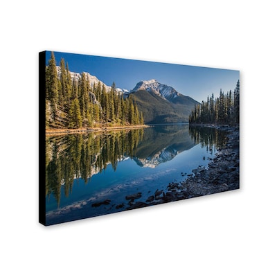 Trademark Pierre Leclerc Jasper Morning Gallery-Wrapped Canvas Art, 22 x 32