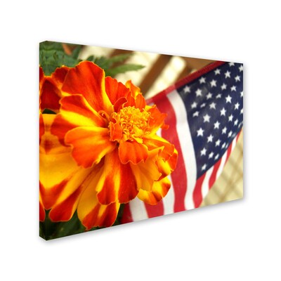 Trademark Monica Fleet Grace in Honor Gallery-Wrapped Canvas Art, 14 x 19