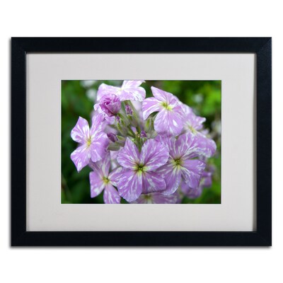 Trademark Monica Fleet Lambent Glow Art, White Matte W/Black Frame, 16 x 20