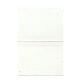 JAM Paper® Blank Foldover Cards, A6 size, 4 5/8 x 6 1/4, Fiesta Panel, 25/pack (309924C)