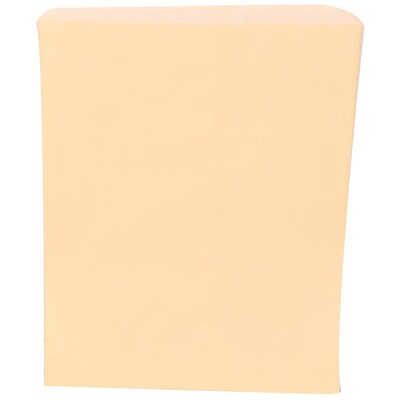 JAM Paper® Merchandise Bags, Medium, 8 1/2 x 11, Ivory, Bulk 1000 Bags/Carton (A342126874)