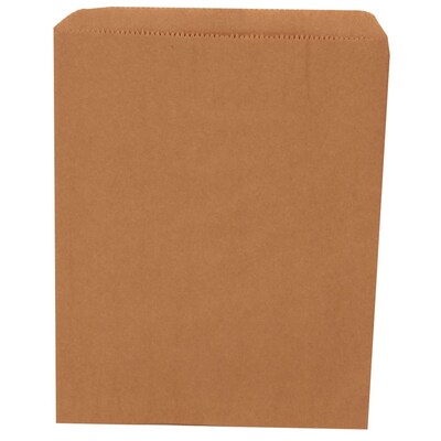 JAM Paper® Merchandise Bags, Medium, 8.5 x 11, Brown Kraft Recycled, 1000/carton (342126848)