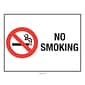 ComplyRight™ No Smoking Poster (E5066)