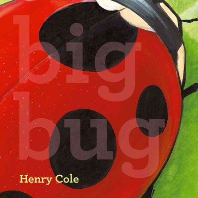 Big Bug