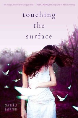 Touching the Surface (HC)