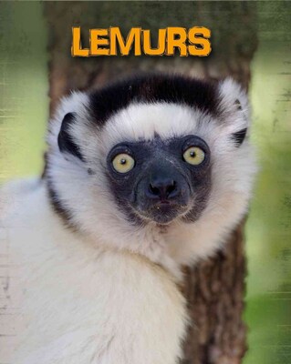 Lemurs (Living in the Wild: Primates)