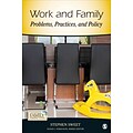 The Work-Family Interface: An Introduction (Contemporary Family Perspectives (CFP))