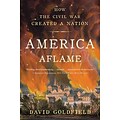 St. Martins Press America Aflame: How the Civil War Created a Nation Paperback Book
