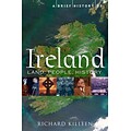 PERSEUS BOOKS GROUP A Brief History of Ireland Paperback Book