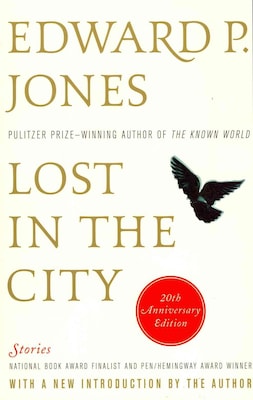 HARPERCOLLINS Lost in the City Book