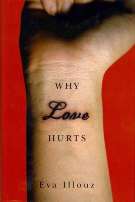 JOHN WILEY & SONS INC Why Love Hurts Hardcover Book