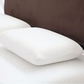 Remedy™ Large Memory Foam Pillow With Cover