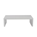 Euro Style™ Abby 14 x 48 x 24 Wood Rectangular Coffee Table, White