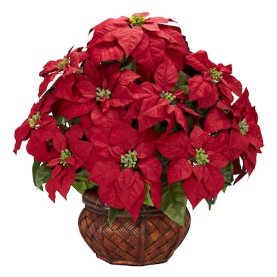 poinsettia floral arrangements