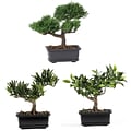 Nearly Natural 4122 8 Bonsai Set of 3 Plant in Pot