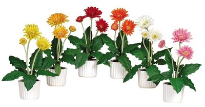 Nearly Natural 4600 Gerber Daisy Set of 6, Orange